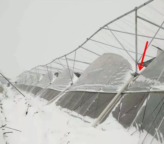 棚子上的积雪怎么处理,避雨棚上的积雪怎么清理