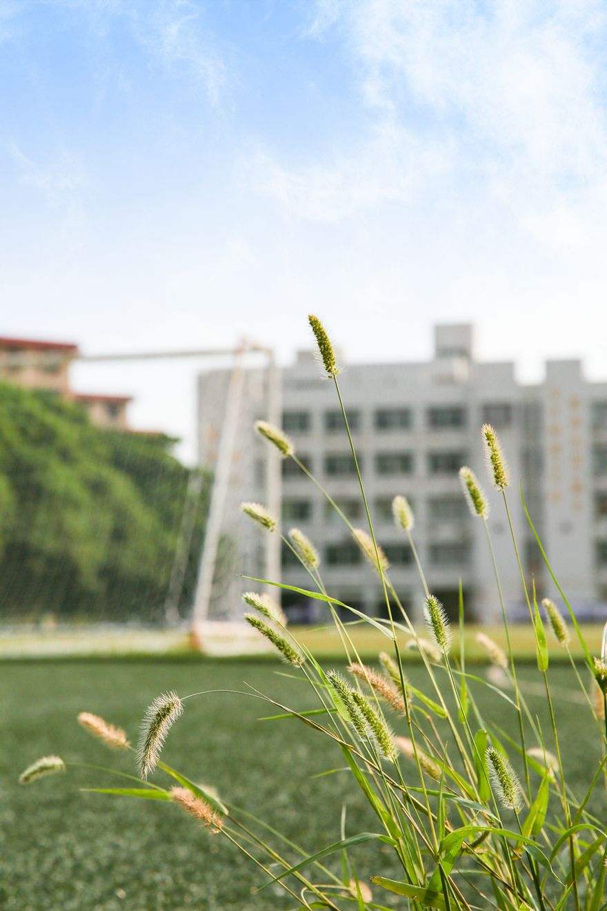 任尔东西南北风配图,任尔东西南北风我亦巍然不动