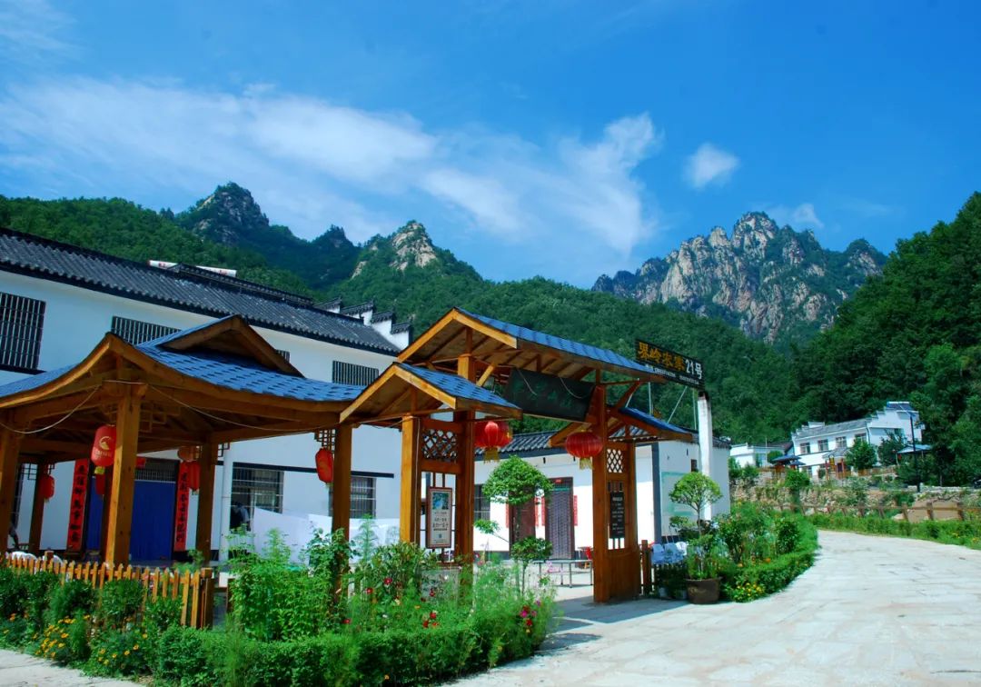 老界岭助力河南文旅,河南老界岭风景区位置