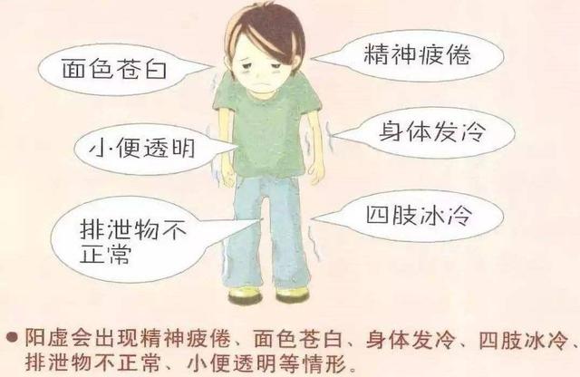 冷血动物的人怎么对付,冷血动物时的身体冷是什么原因