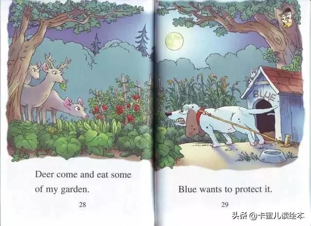 英语森林绘本故事,mygarden英语绘本小故事