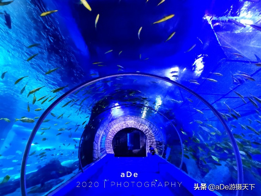 广州正佳广场哪个馆最值得玩,广州值得打卡的地方正佳广场