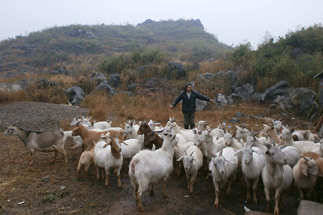 农民搞养殖创业该养殖什么挣钱呢,返乡创业养殖什么最赚钱