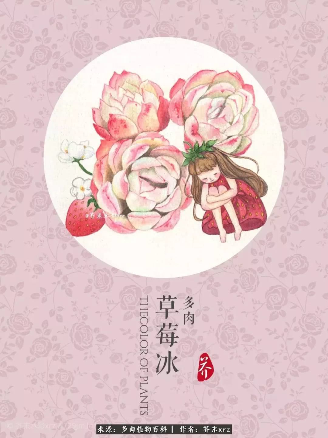 那个爱画多肉的小姑娘带着她的心头肉又来啦！