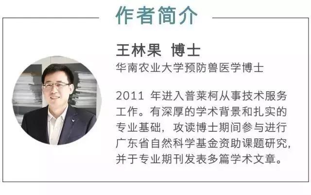 公鸡产精技术,鸡种蛋孵化技术