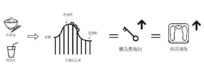 嗖啦啦防弹咖啡怎么使用,嗖拉拉防弹咖啡减肥后会反弹吗