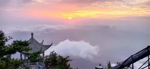 采一片天竺山的云朵别在发梢，带你感受云中漫步的奇妙幻境