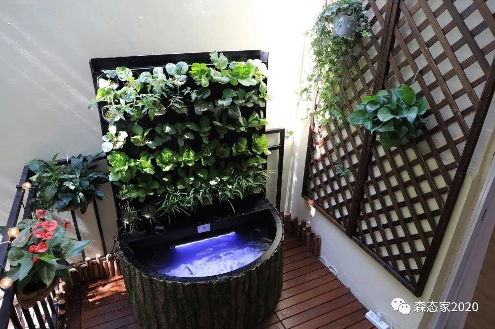 母亲节，敢和你妈这样玩吗？朋友圈豪嗮幸福