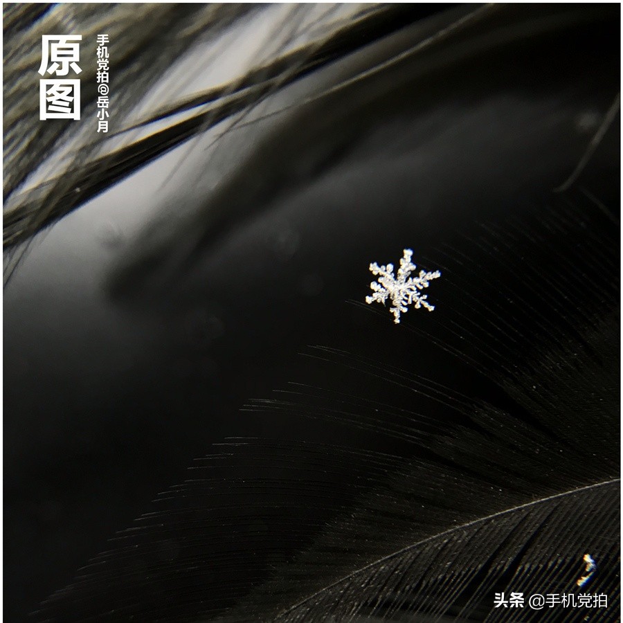 拍摄20倍雪花微距的教程,下雪天怎么拍出唯美视频