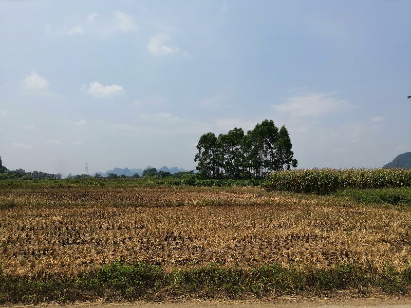 12岁的孩子补一颗牙多少钱,小孩子补一颗牙200元