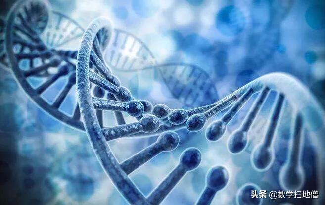 莫比乌斯环和克莱因瓶数学模型,数学莫比乌斯怪圈