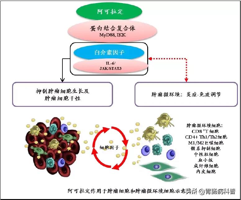 肝癌淫羊藿提取物,淫羊藿提取物治疗晚期肝癌上市
