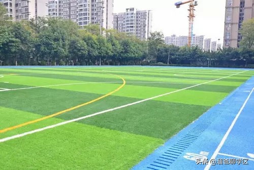 名校巡礼之泡桐树小学天府校区,名校巡礼