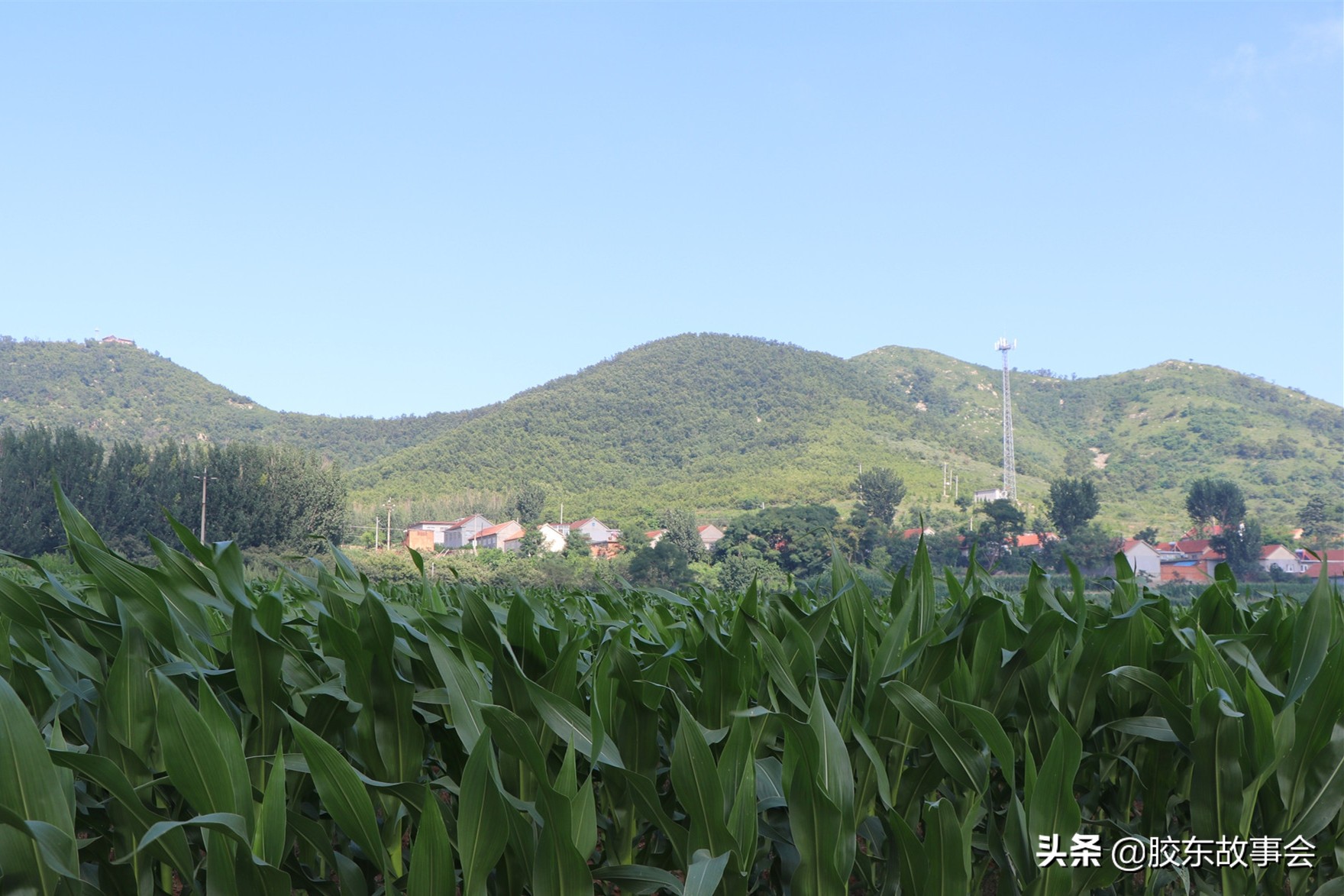 薛姓氏的历史名人的故事,山东莱阳薛村梁姓字辈