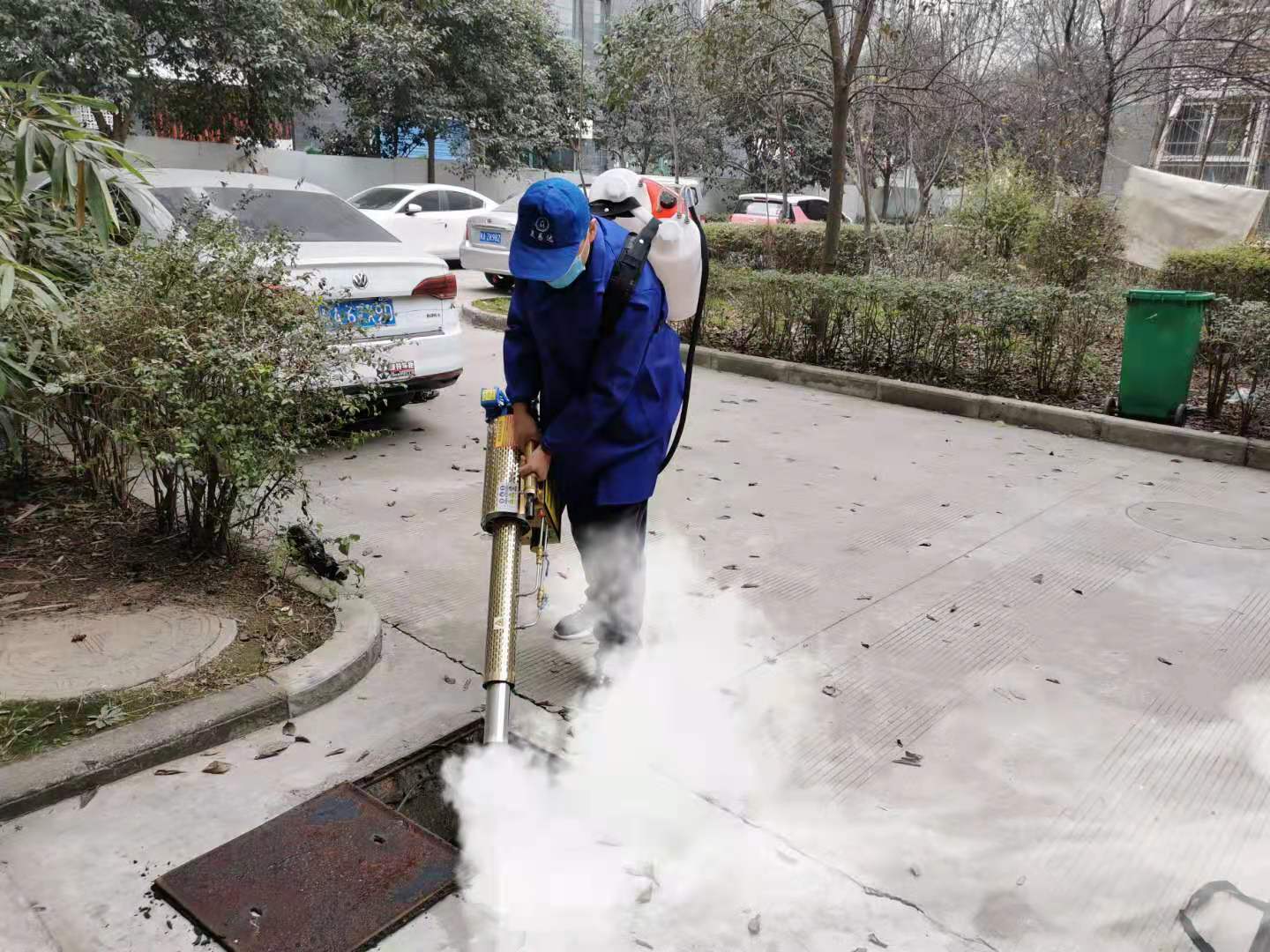 西安灭鼠灭蟑螂除虫,西安灭鼠灭蟑服务