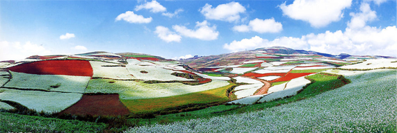 东川红土地上帝打翻的调色板,美如调色板的东川红土地