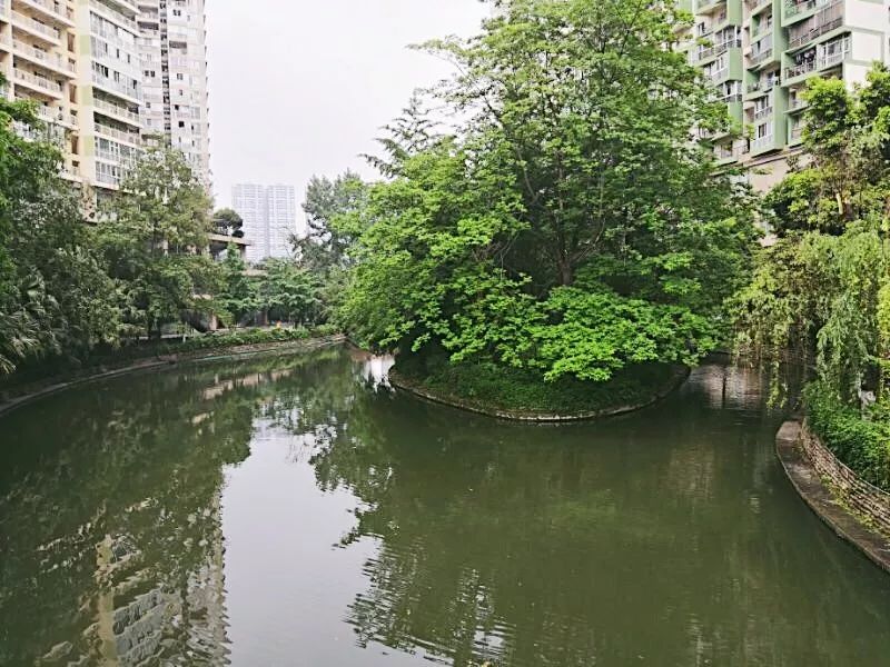 住在南门的人,收藏夹里藏了啥