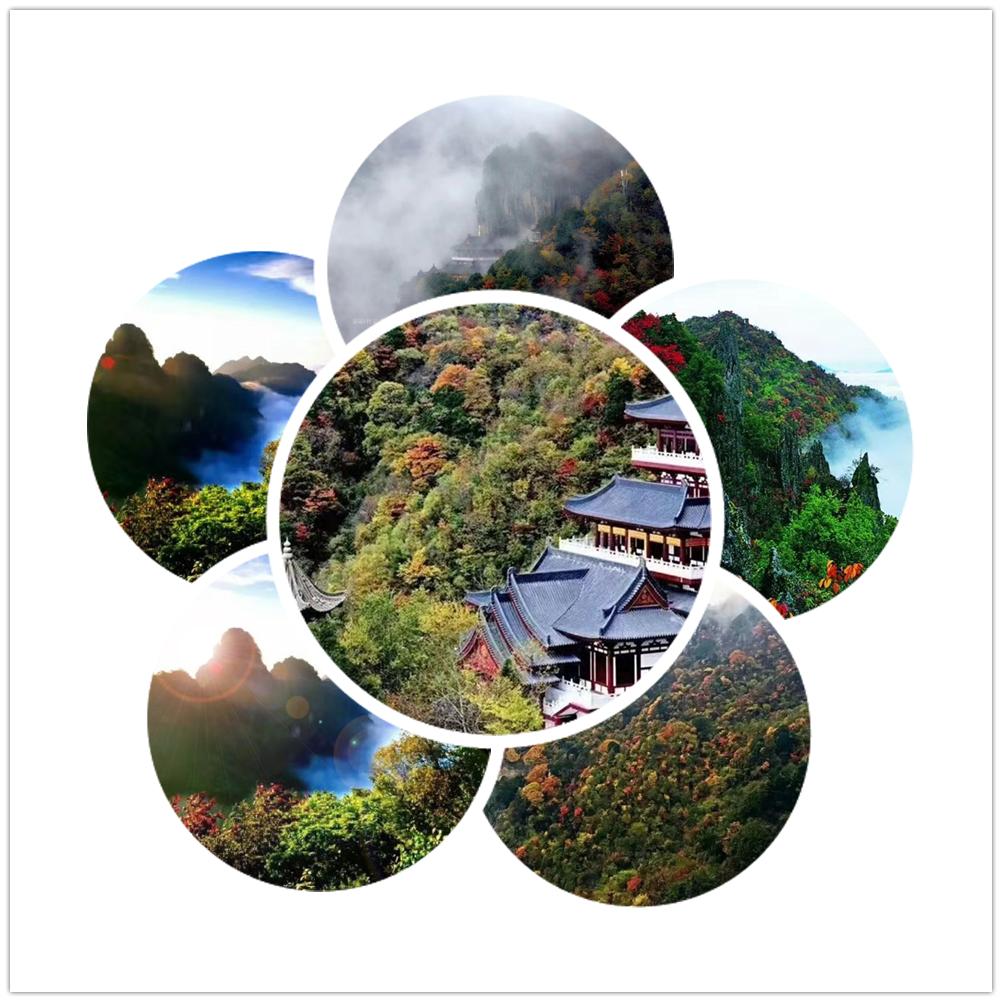 抓住秋天的尾巴走进冬天,抓住秋天的尾巴寻最后一抹金黄