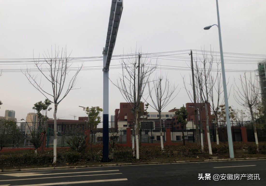 2021合肥学区小学划分,合肥学区最新爆料