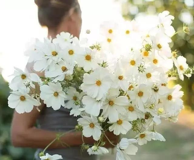 心理测试测你会在哪里结束单身,心理测试选图测你会柳暗花明吗