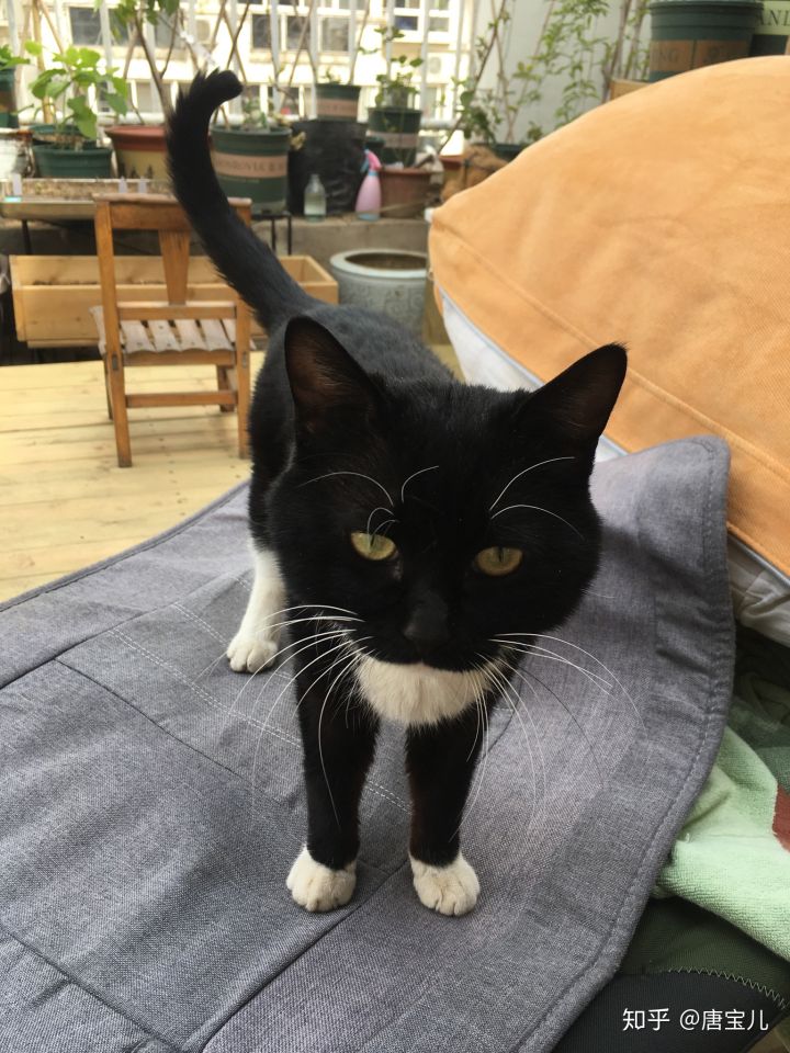 一楼带花园顶楼送阁楼,顶楼送阁楼和一楼送小院哪个合适