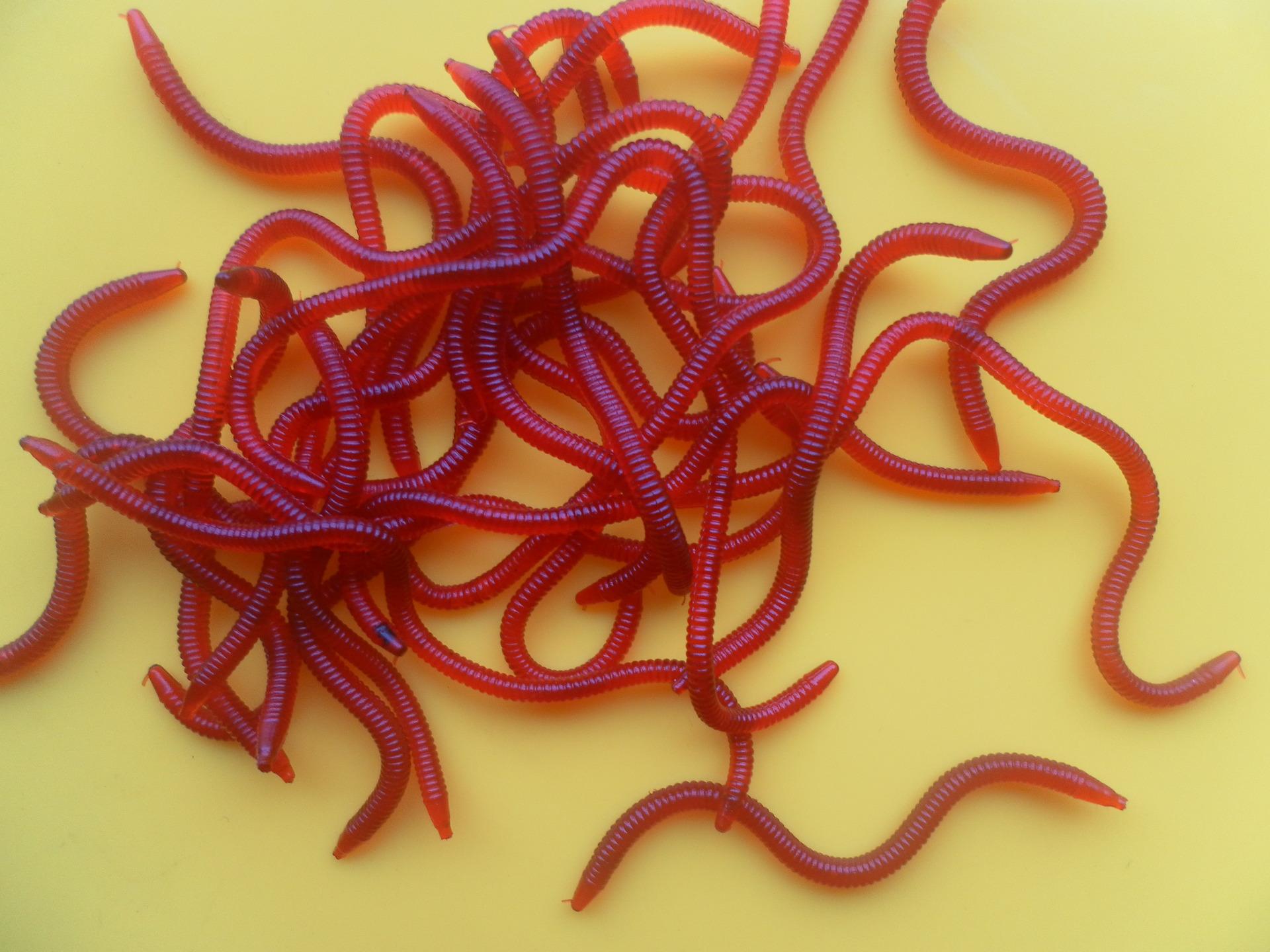 这几种饵料鱼不上钩都难,钓鱼必须买的三种饵料