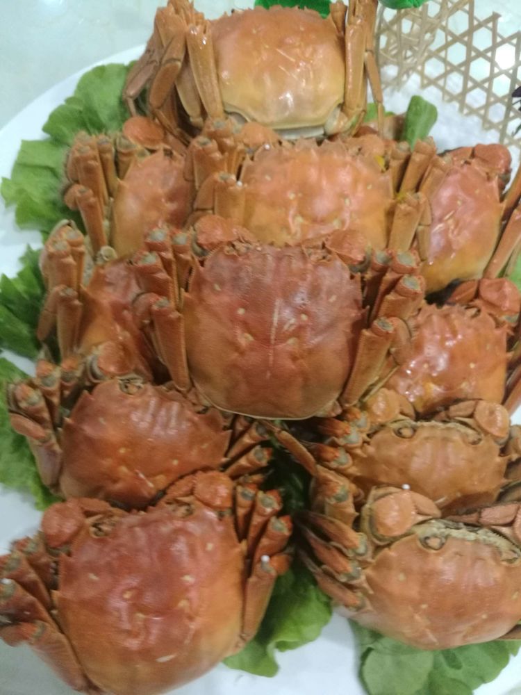 岁月不老我们不散全文,岁月不老我们不散什么意思