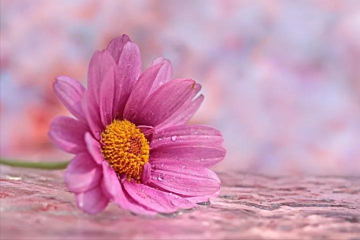 日子就是柴米油盐完整版,日子就是鸡毛蒜皮