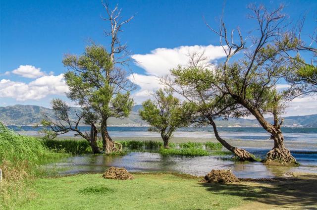 大理不知名名宿,大理最不知名的海景民宿