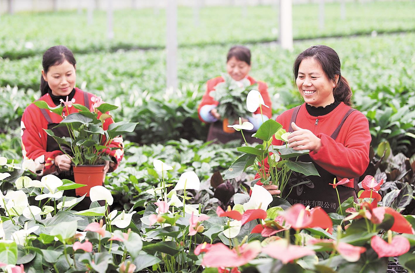 荆门“绣花”功夫剔“穷根”