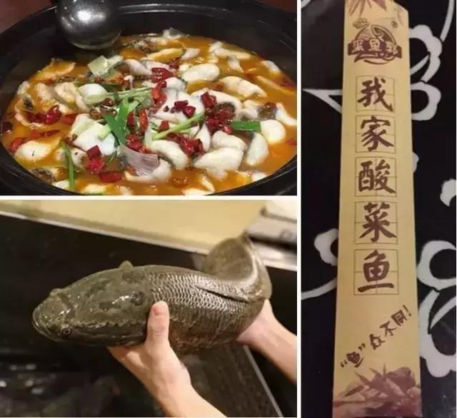 合肥的十大好吃的店,合肥最好的鱼馆