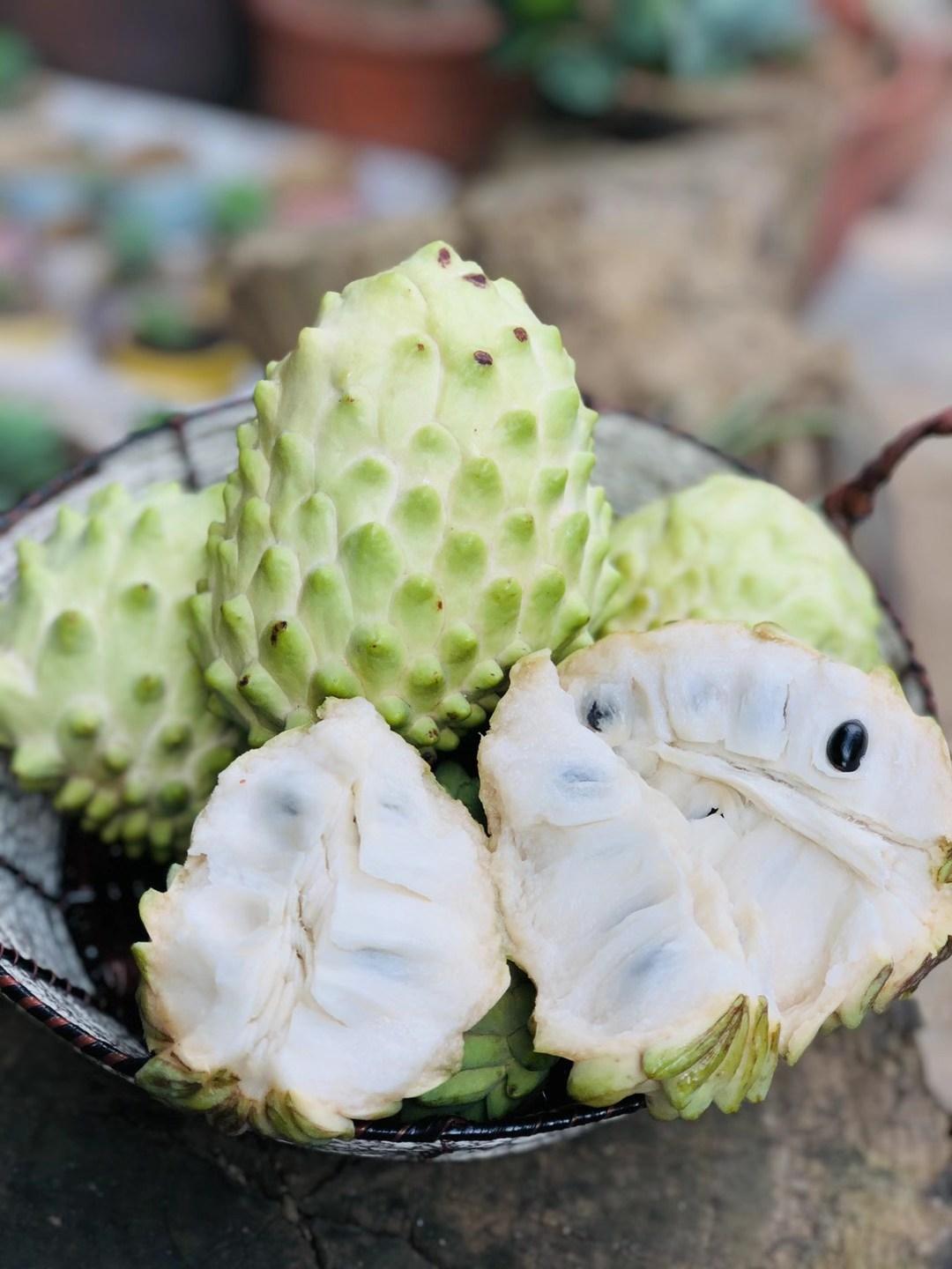凤梨释迦果水果界的冰激凌,一种像释迦摩尼的水果
