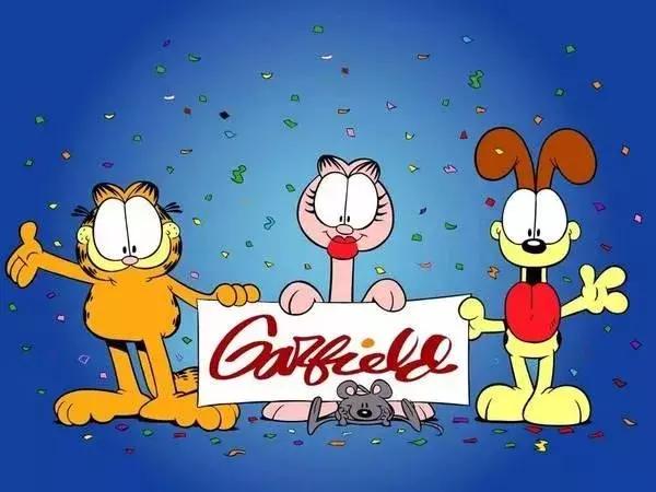 为什么很少有人养加菲猫,最难养的猫加菲猫