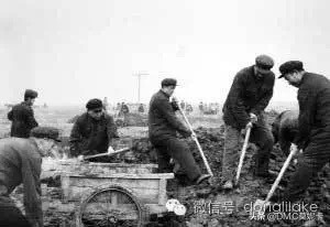 天津东丽湖,天津东丽湖规划最新