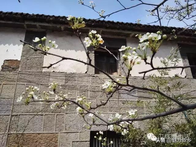 河南新乡故事视频大全,新乡故事大全