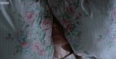 豆瓣9.2,专门为女性定制的AV,说出了所有女人的心声