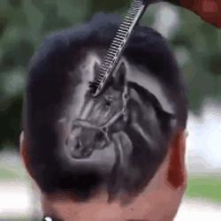 被龙虾夹了一下,手被龙虾的钳子夹了会怎么样