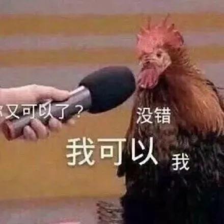 被腾讯打败的腾讯,虾米音乐正式关停了吗