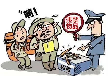 七种违法行为查到重罚,关于非法出入境法律知识