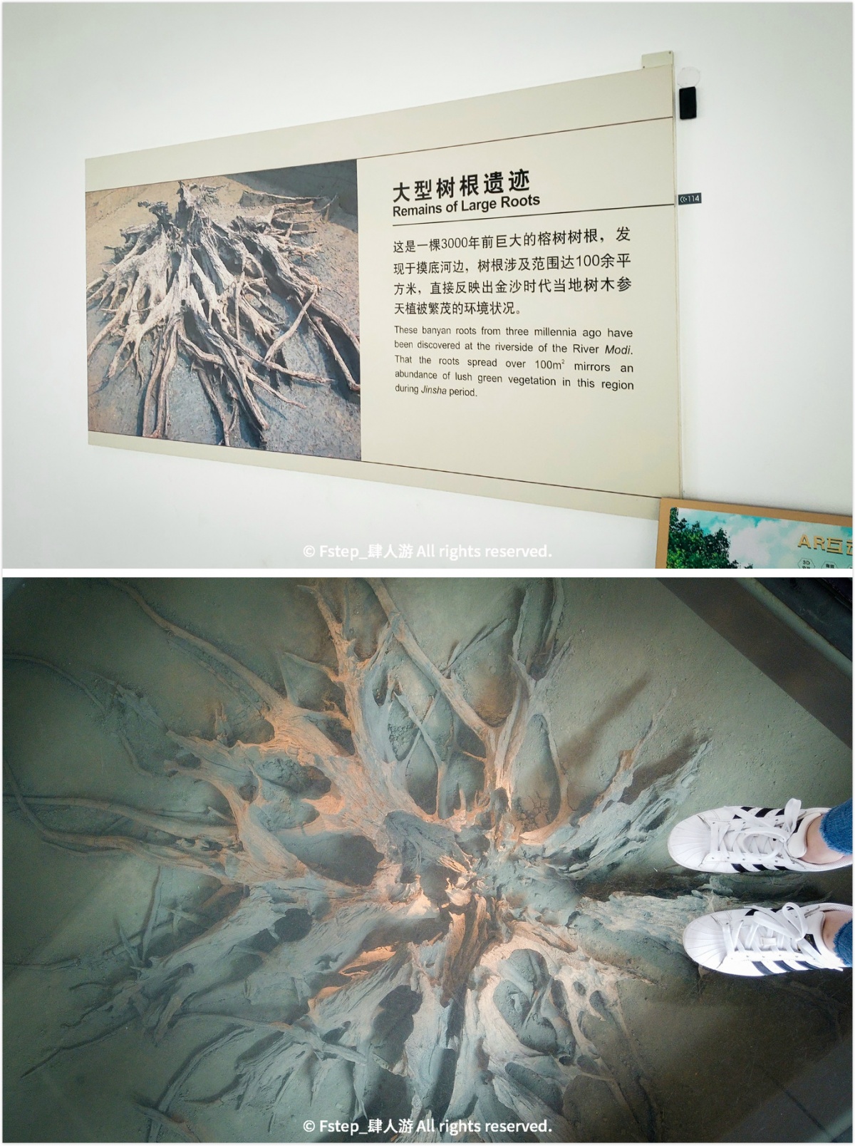 宅家云旅游遇见最美的自己 (宅家云旅游唯有爱与美食不可辜负)