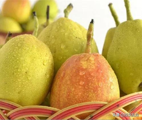 *疆新**十大特产，你都吃过吗？我最喜欢大枣了