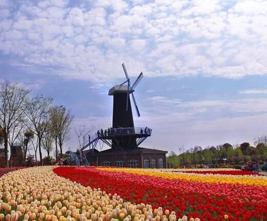 上海旅游攻略必去的15个景点,上海旅游攻略必逛的15个景点