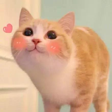 秋冬好用的水乳推荐适合混油皮,自用的秋冬水乳推荐