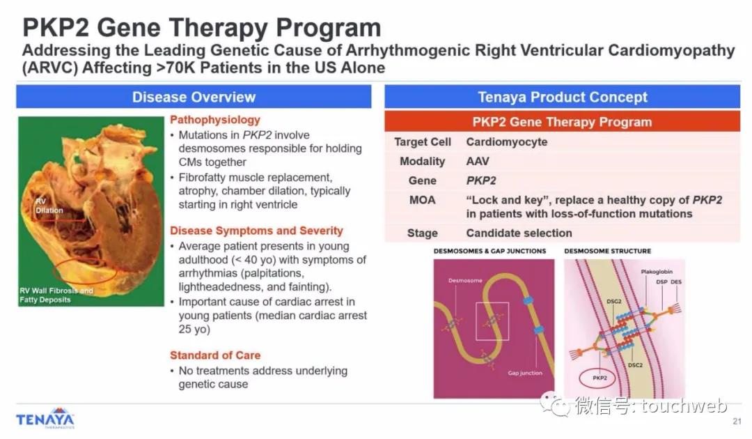 基因疗法相关上市公司,tenaris公司