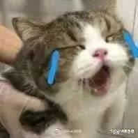 分手了前男友还正常聊天该怎么办 (分手了前男友还在微信聊天)