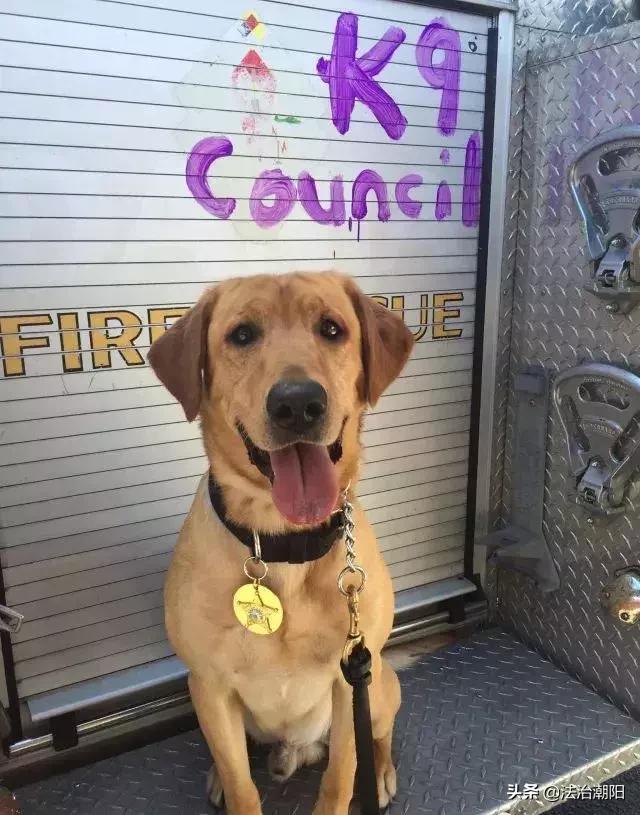 闻毒品味会有危害吗,闻毒品气味算吸毒吗