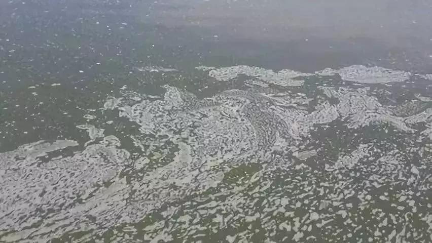 有铁锈怎么去除,铁锈水的解决方法