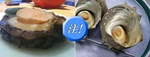 对猫有毒的植物气味也不能闻吗,对猫有毒的食物