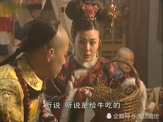 给董鄂妃送芨芨草,康熙王朝孝庄给董鄂妃送救命草