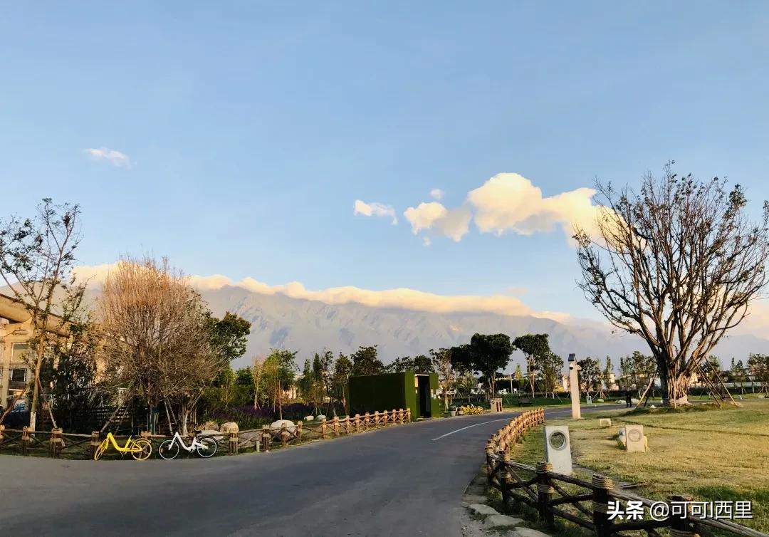 观念与灵魂的感悟,从一件小事到深度思考